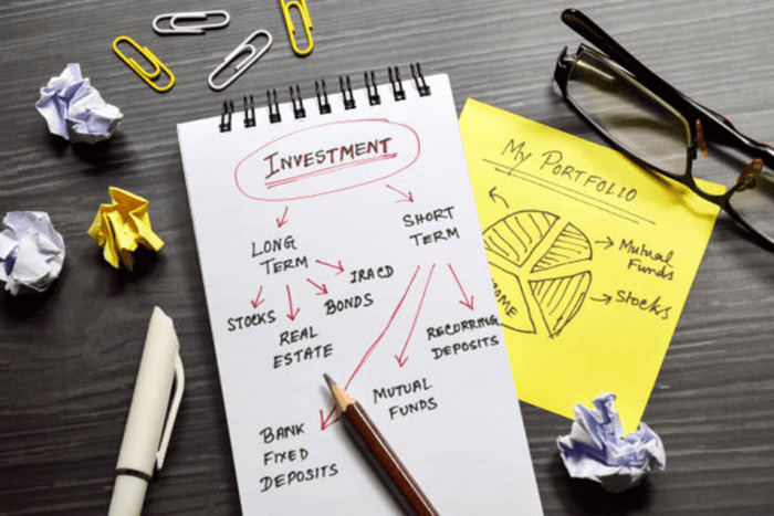 Mutual fund portfolio