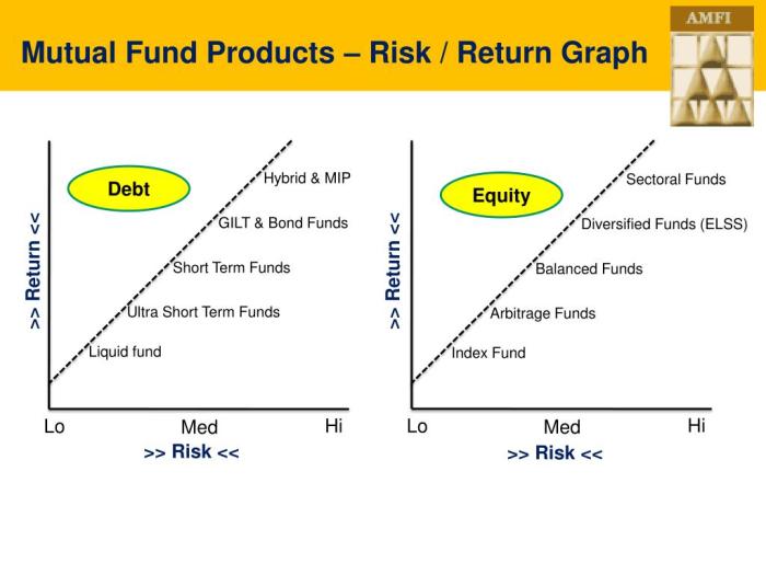 Mutual fund risk levels explained
