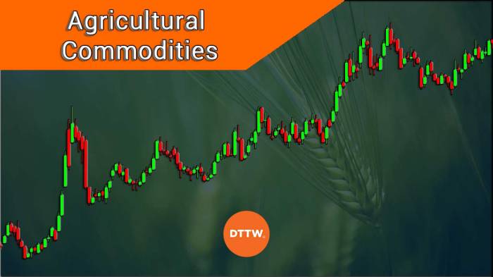 Agricultural commodities to watch